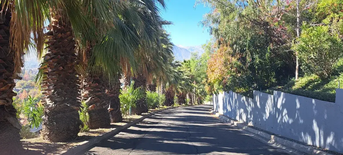 Ver fotografía 1 de 24 de Camino Turistico / Gran Vista